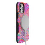 Art of Chaos | Grateful Dead Skull Case