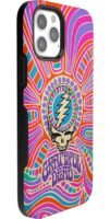 Art of Chaos | Grateful Dead Skull Case