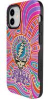 Art of Chaos | Grateful Dead Skull Case