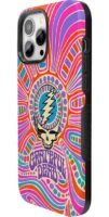 Art of Chaos | Grateful Dead Skull Case