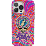 Art of Chaos | Grateful Dead Skull Case