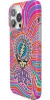 Art of Chaos | Grateful Dead Skull Case