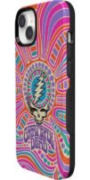 Art of Chaos | Grateful Dead Skull Case