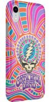 Art of Chaos | Grateful Dead Skull Case