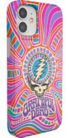 Art of Chaos | Grateful Dead Skull Case