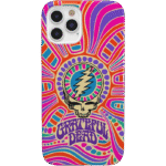 Art of Chaos | Grateful Dead Skull Case